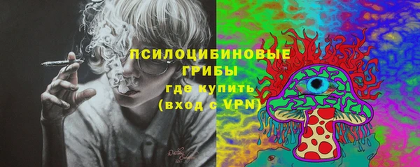 хмурый Вяземский