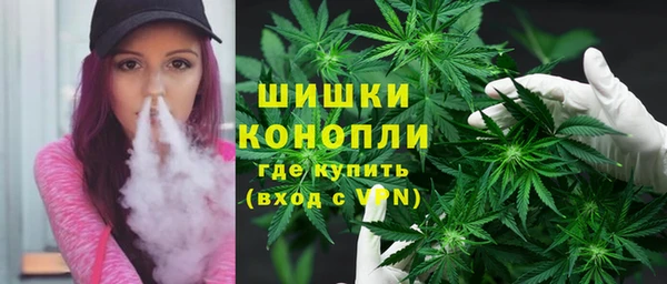 хмурый Вяземский