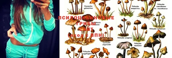 хмурый Вяземский