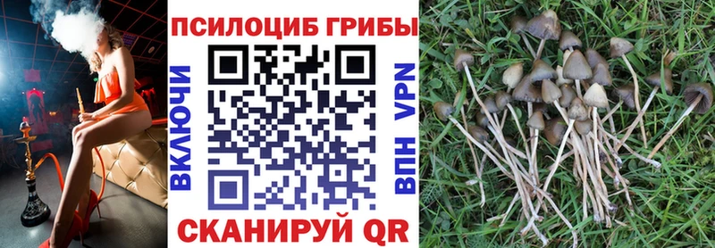 Галлюциногенные грибы Magic Shrooms Норильск